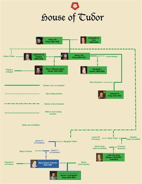 tudor assegnato|tudor family tree identification.